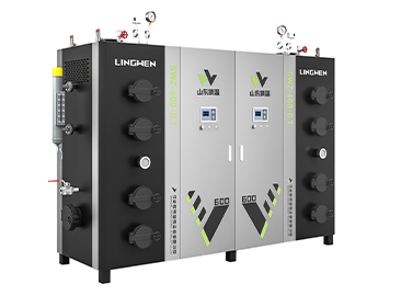 600KG生物質蒸汽發生器